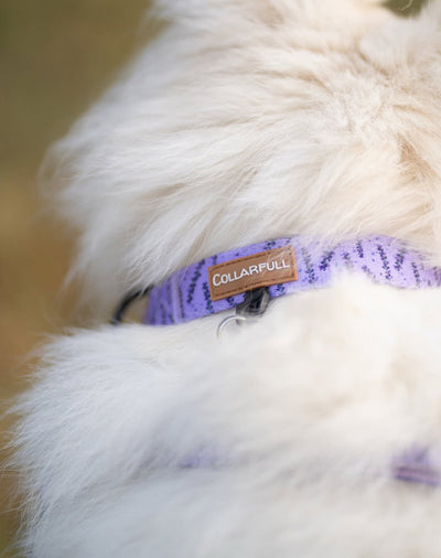 Necklace - I Smell Lavender