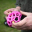 Dog Comets Moonstone Treat cube