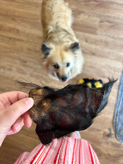 Ox ears with fur - 150g 