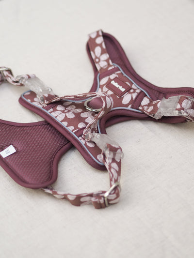 Adventure Trails hundesele - Flourish & Fade