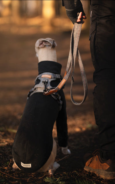 Adjustable dog leash - Gray Herringbone Tweed