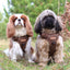 Adventure Trails Dog Harness - Brown Herringbone Tweed