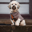 Adjustable dog lead - Black Herringbone Tweed