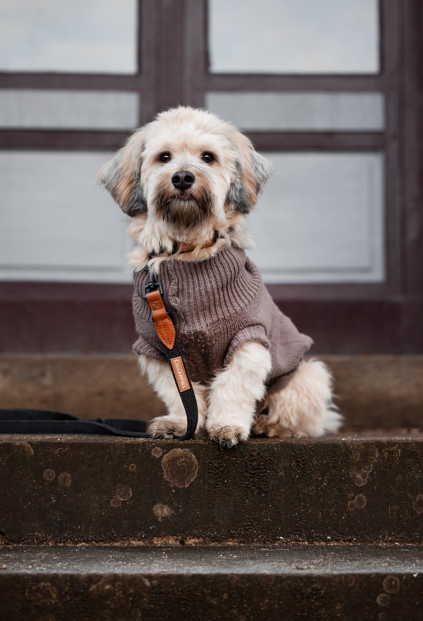Adjustable dog lead - Black Herringbone Tweed