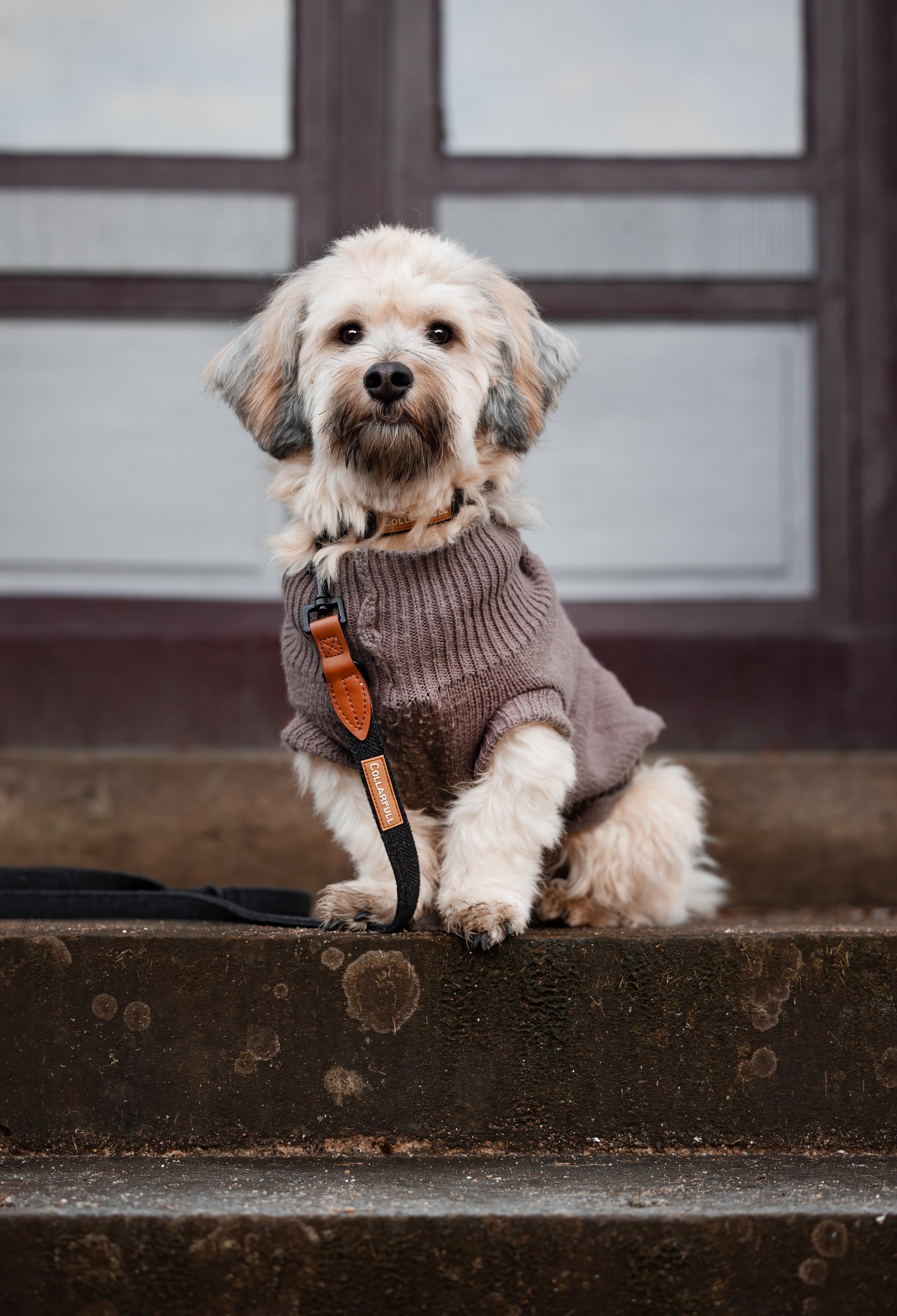 Adjustable dog lead - Black Herringbone Tweed