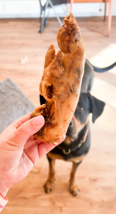 Pig's foot