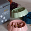 Dots n' bones slow feeder