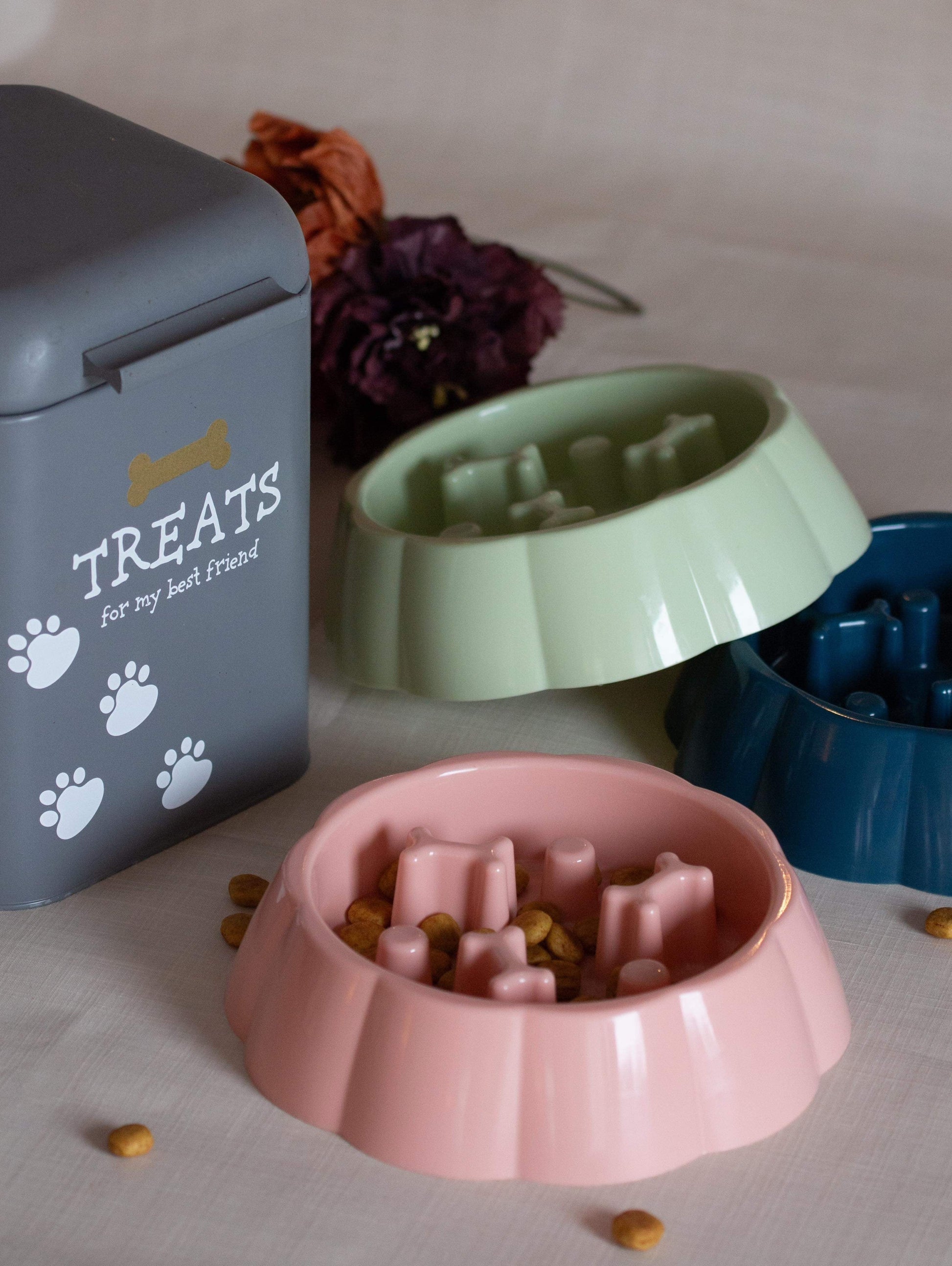 Dots n' bones slow feeder