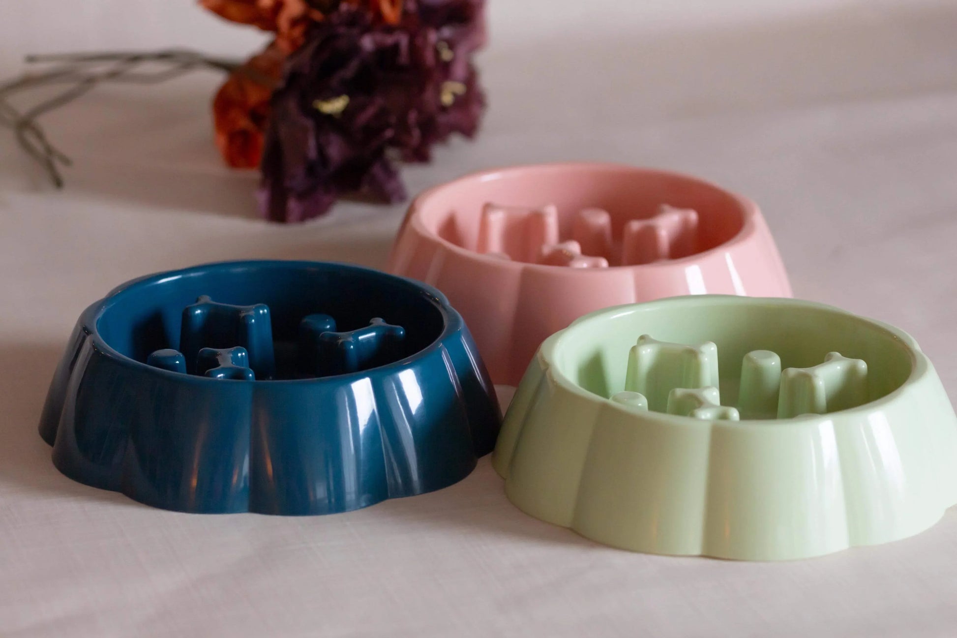 Dots n' bones slow feeder