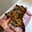 Snack'It Horsehide Sheets - 500g
