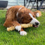 Whesco Ox Head Skin Chewing Roll