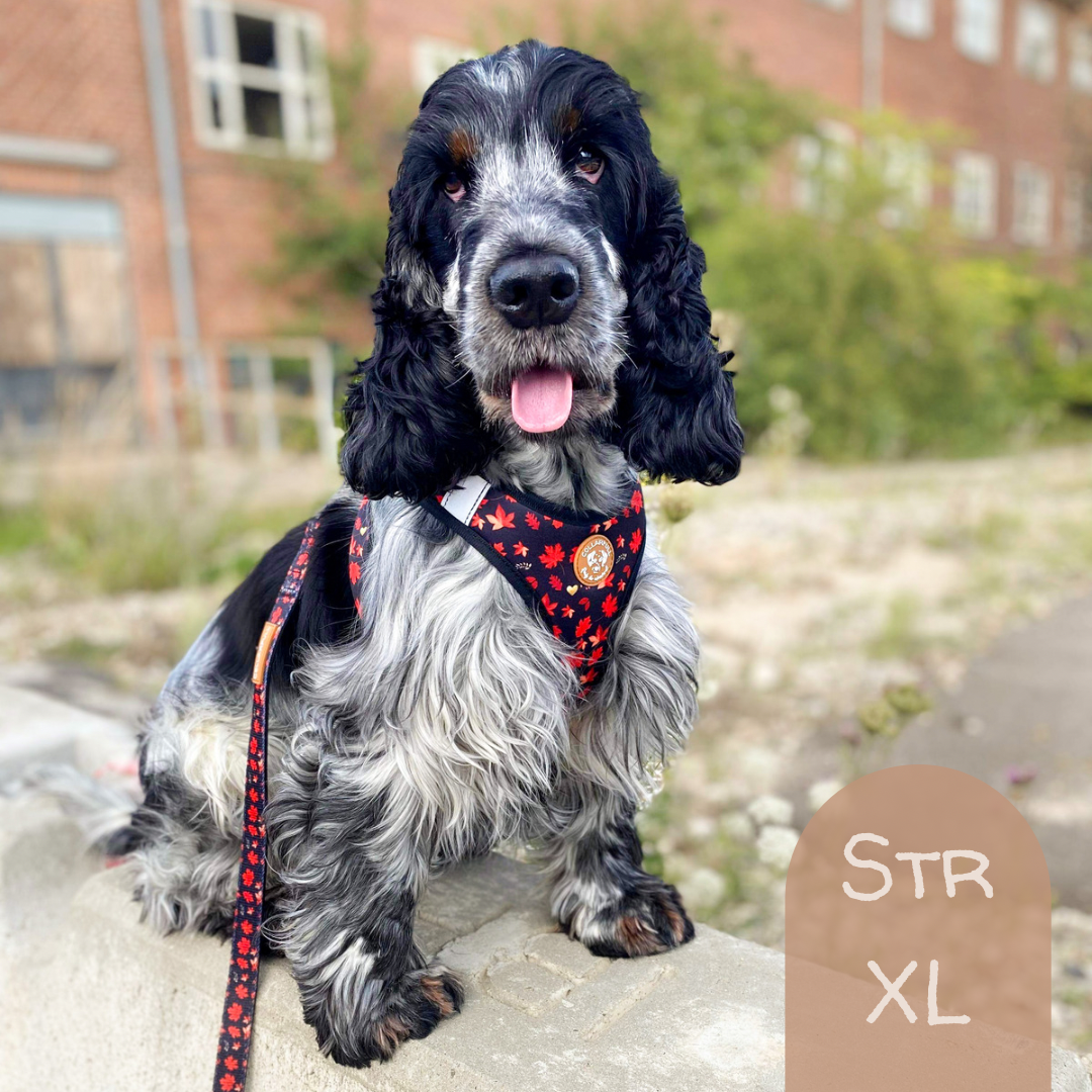 Tiny Trails step-in dog harness - Leaf me not