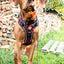Adventure Trails dog harness - Leaf me not