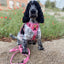 Adjustable dog leash - Pink Panther