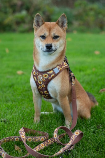 Adjustable dog leash - Sunflowers on my mind