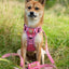 Adjustable dog leash - Pink Panther