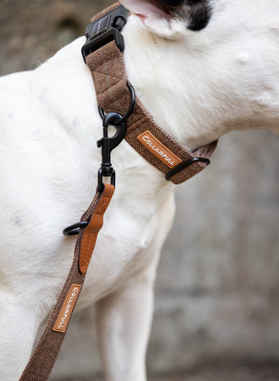 Collar - Brown Herringbone Tweed