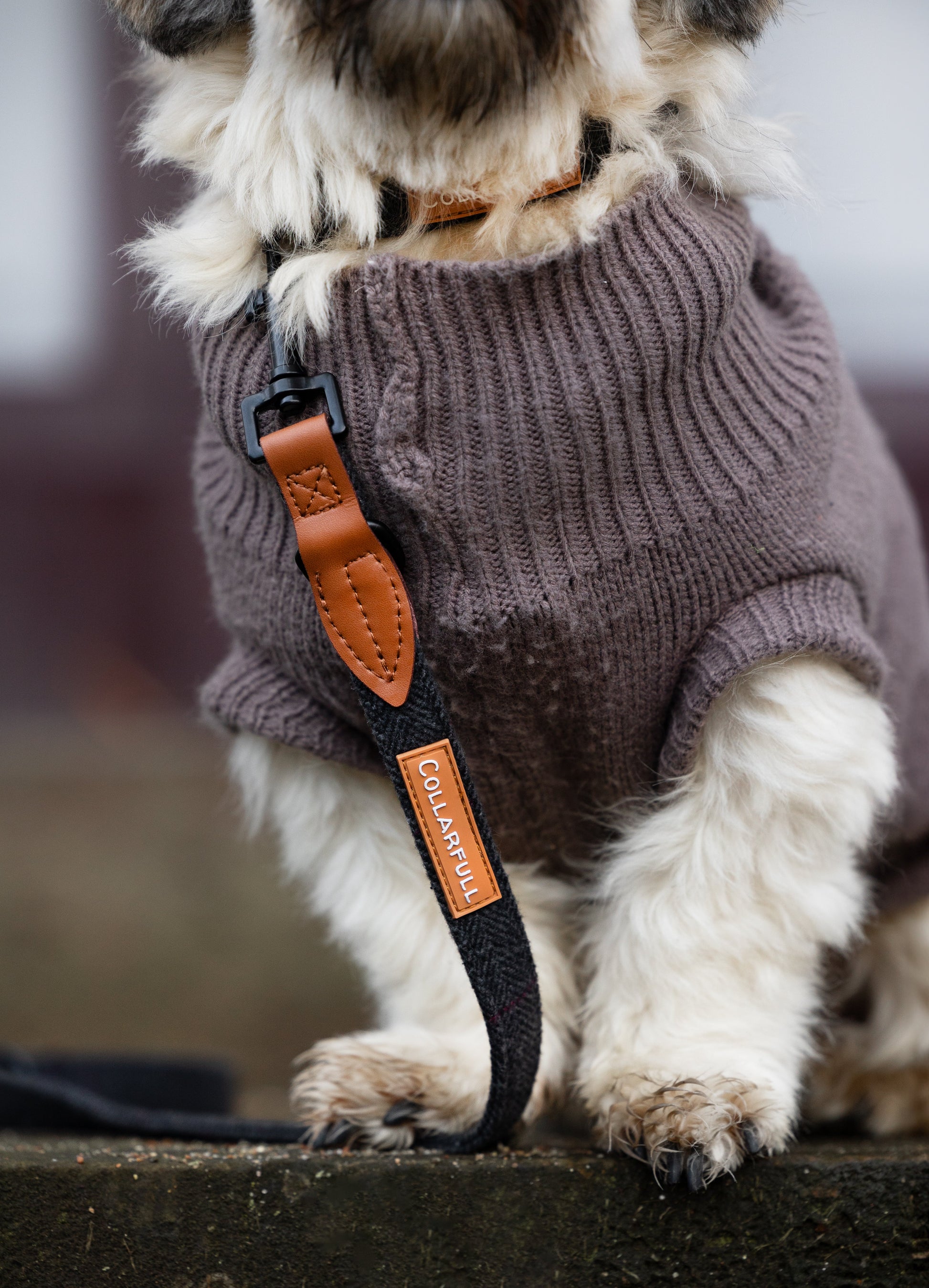 Adjustable dog lead - Black Herringbone Tweed