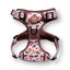 Adventure Trails dog harness - Take a break, with Coffee N' Cake
