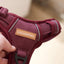 Adventure Trails Dog Harness - Burgundy Herringbone Tweed 