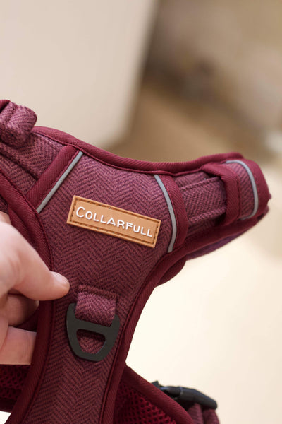Adventure Trails Dog Harness - Burgundy Herringbone Tweed 