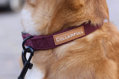 Collar - Burgundy Herringbone Tweed