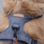 Adventure Trails Dog Harness - Gray Herringbone Tweed