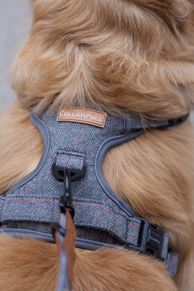 Adventure Trails Dog Harness - Gray Herringbone Tweed