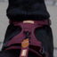 Adventure Trails Dog Harness - Burgundy Herringbone Tweed 
