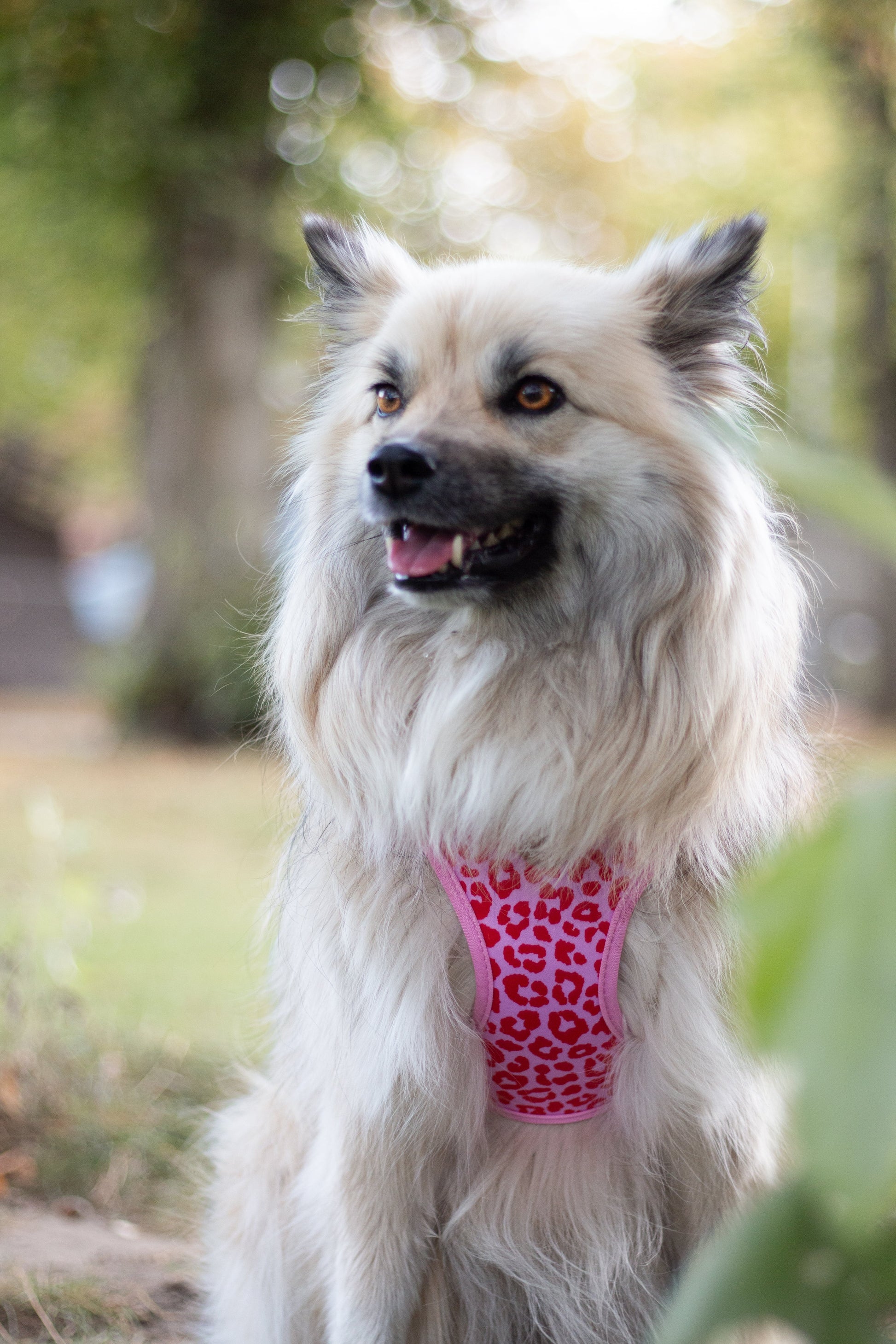 Tiny Trails step-in dog harness - Pink Panther