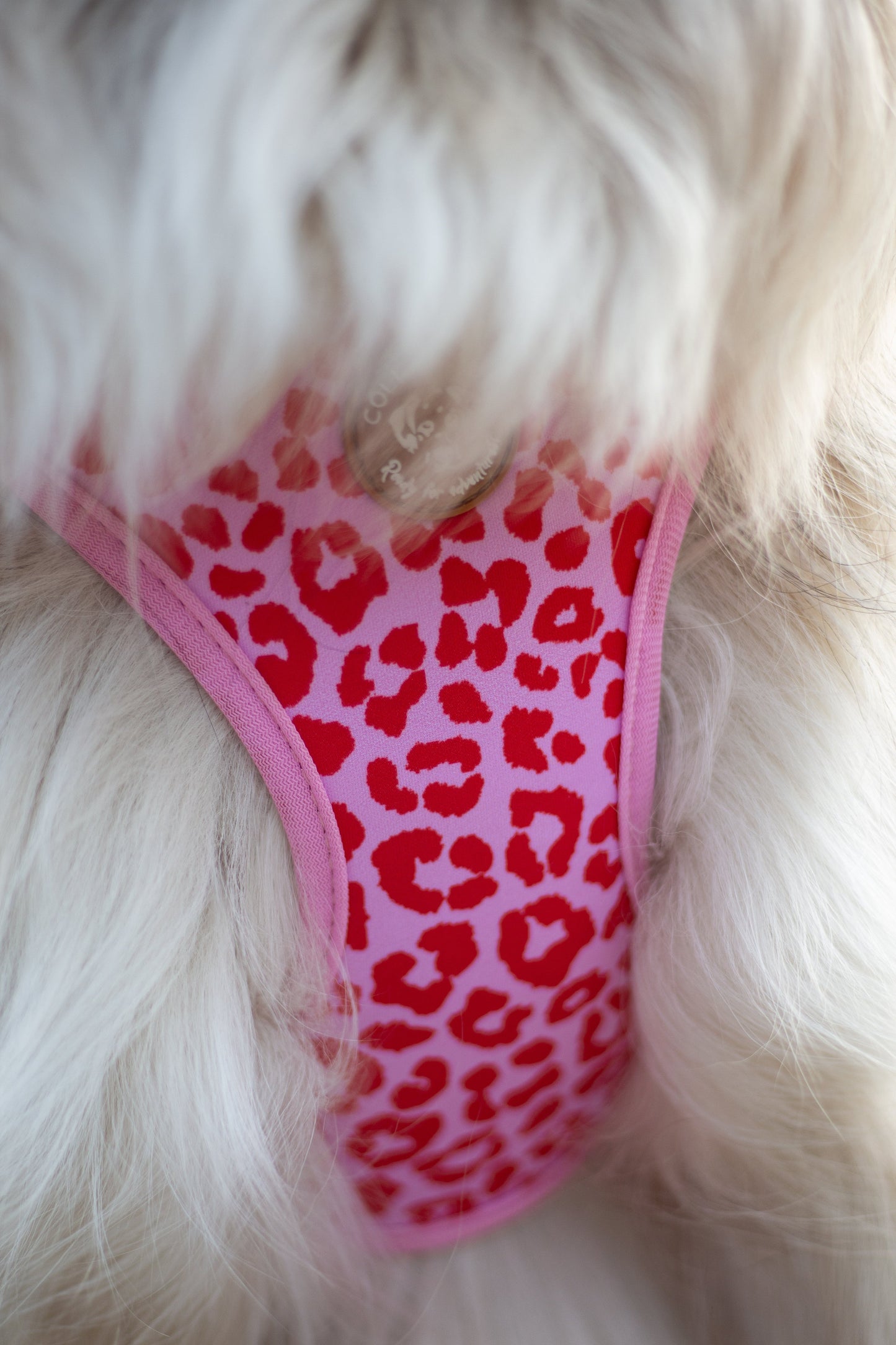 Tiny Trails step-in dog harness - Pink Panther