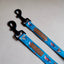 Dog leash - Hunting ground