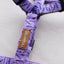 Urban Y Trails Dog Harness - In Smell Lavender