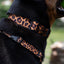 Collar - Lovely Leopard