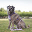 Adjustable rope cord - Lavender