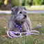 Adjustable rope cord - Lavender