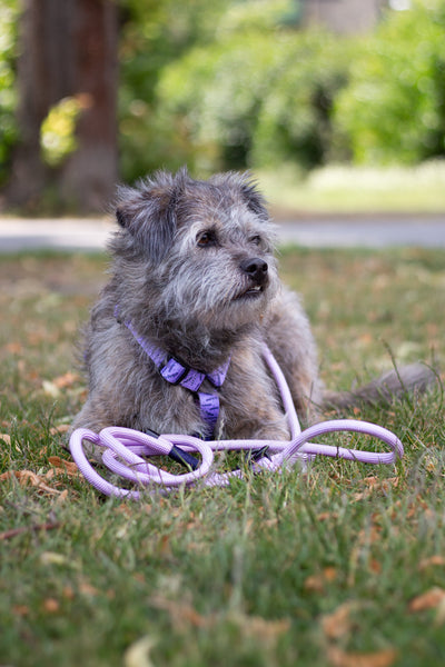 Adjustable rope cord - Lavender
