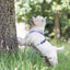 Urban Y Trails Dog Harness - In Smell Lavender