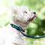 Adjustable rope cord - Dark Green