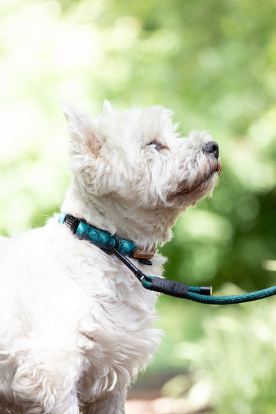 Adjustable rope cord - Dark Green