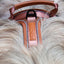 Terrain Trails dog harness - Caramel luxury