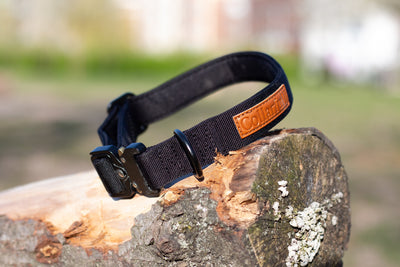 Collar - Stylish Black