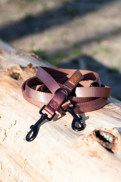 Adjustable dog leash - Caramel Luxury