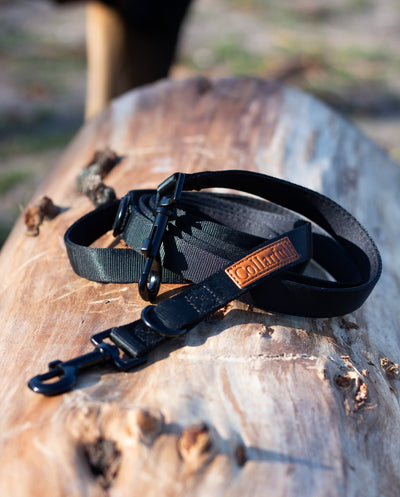 Adjustable dog leash - Stylish Black