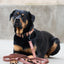 Adjustable dog leash - Caramel Luxury