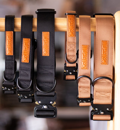 Collar - Stylish Black