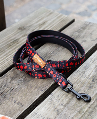 Adjustable dog leash - Leaf me not