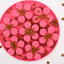Flower Field slow feeder