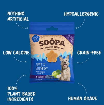 Apple and Blueberry Dog Treats