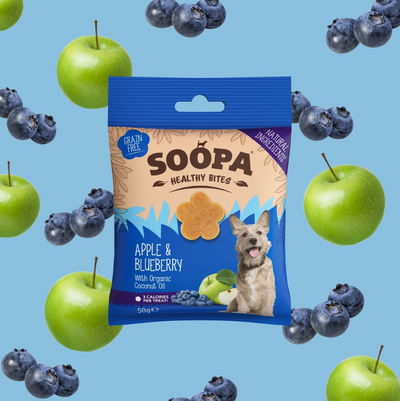 Apple and Blueberry Dog Treats